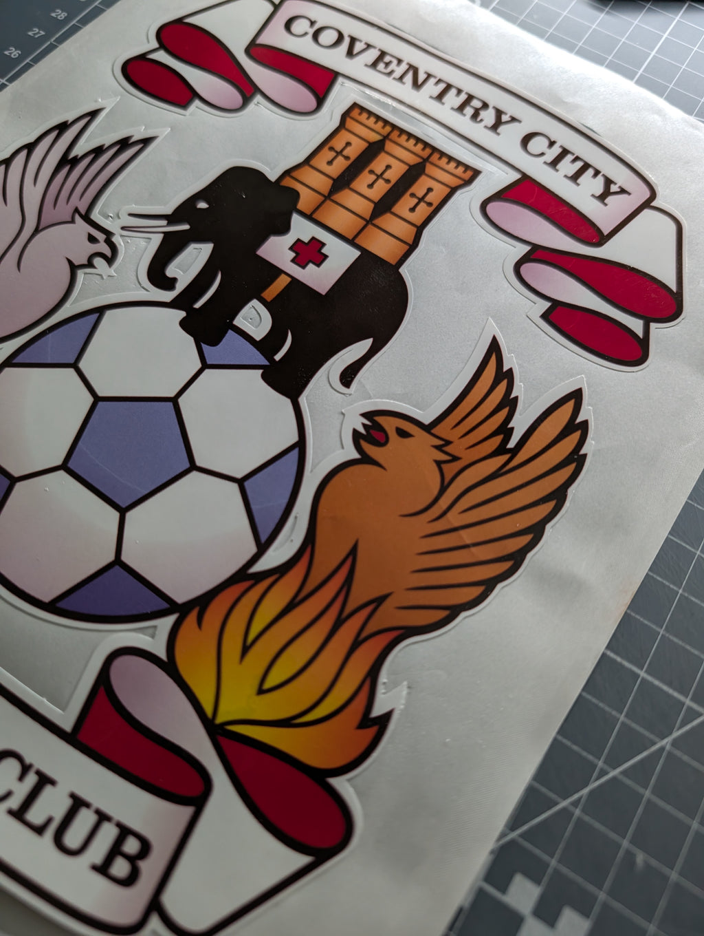 8" Printed Coventry City Football Club Car/Van Sticker