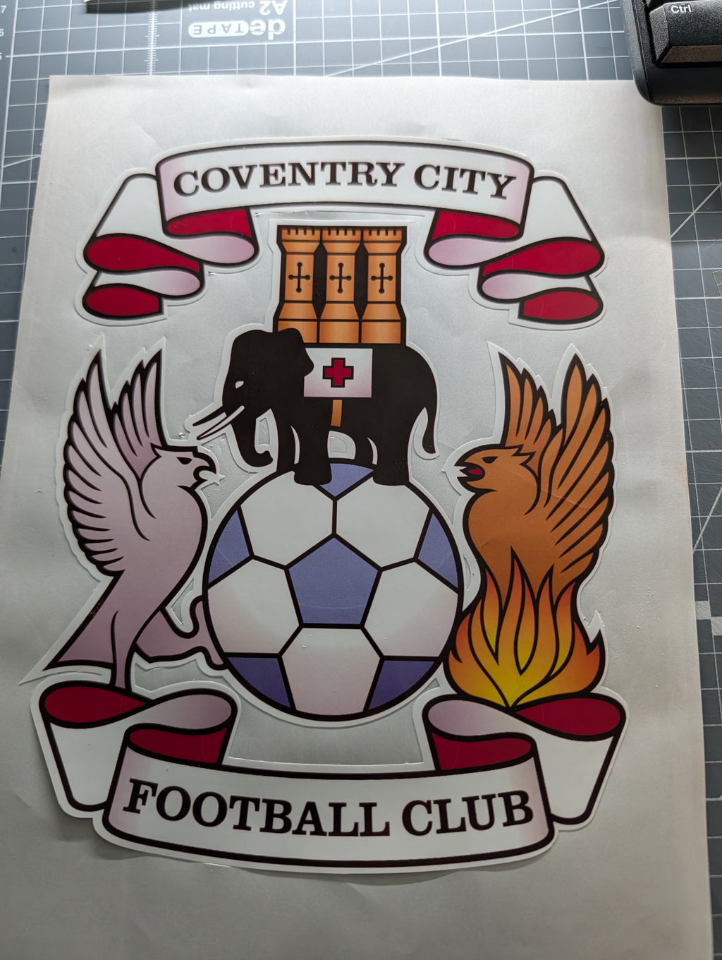 8" Printed Coventry City Football Club Car/Van Sticker