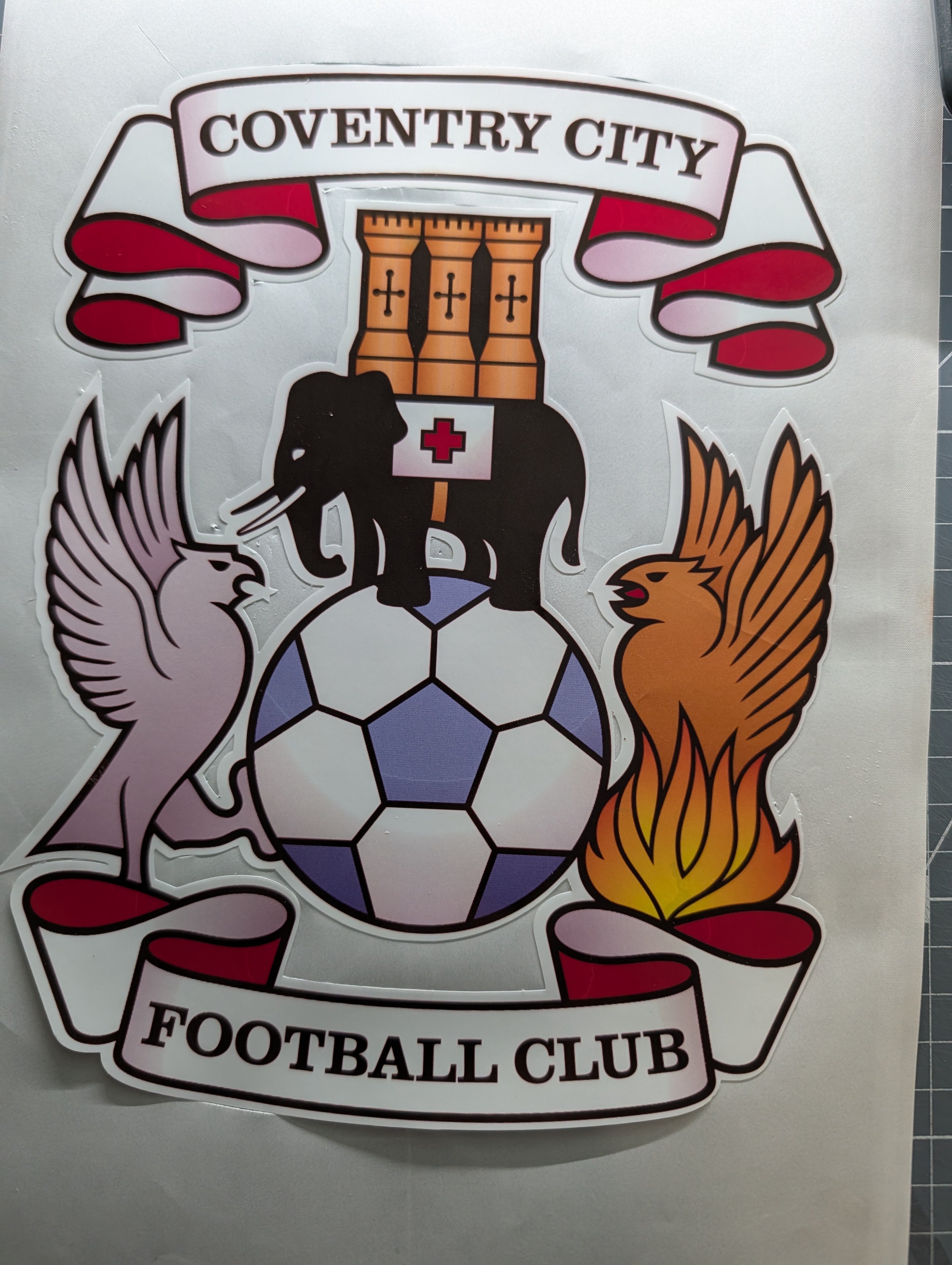 8" Printed Coventry City Football Club Car/Van Sticker